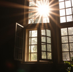sunlight streaming through window