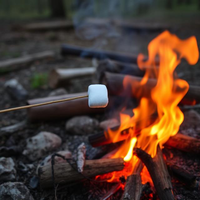 Fireside Snacks You Can Make in the Air Fryer